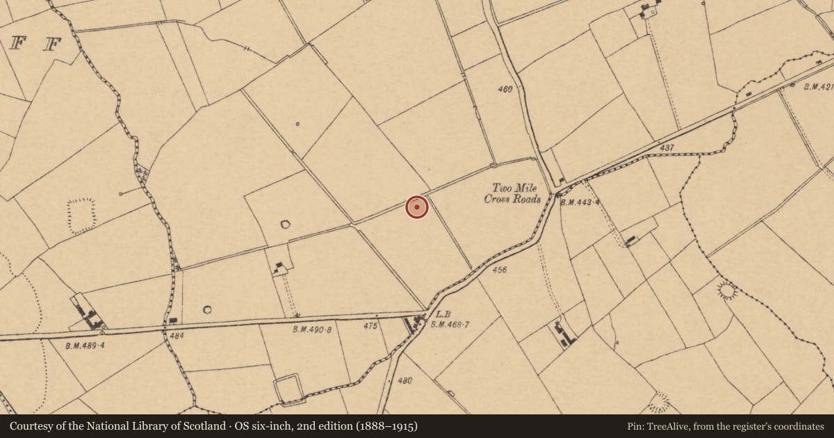 Ordnance Survey six-inch map, 2nd edition (1888–1915) covering the location of Ringfort - rath, Shandrum, County Cork, with a pin at the register's coordinates
