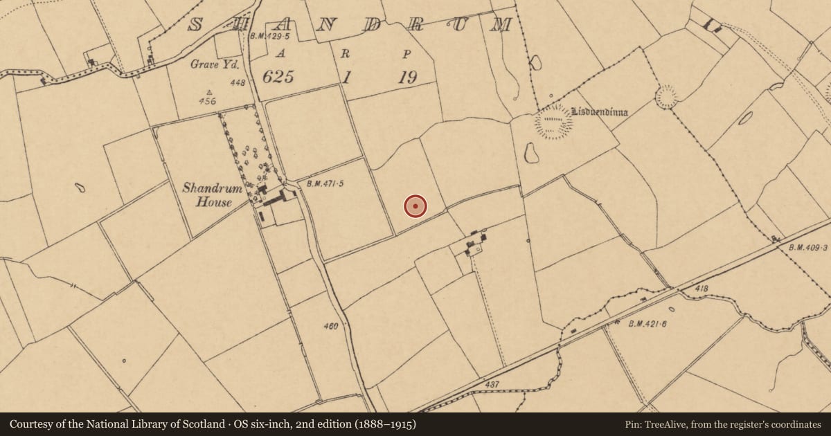 Ordnance Survey six-inch map, 2nd edition (1888–1915) covering the location of Barrow - ring-barrow, Shandrum, County Cork, with a pin at the register's coordinates