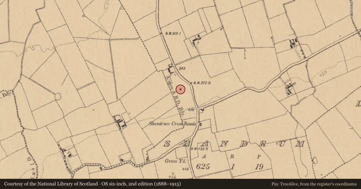 Ordnance Survey six-inch map, 2nd edition (1888–1915) covering the location of Ringfort - rath, Shandrum, County Cork, with a pin at the register's coordinates