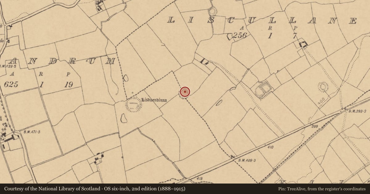 Ordnance Survey six-inch map, 2nd edition (1888–1915) covering the location of Ringfort - rath, Liscullane, County Cork, with a pin at the register's coordinates