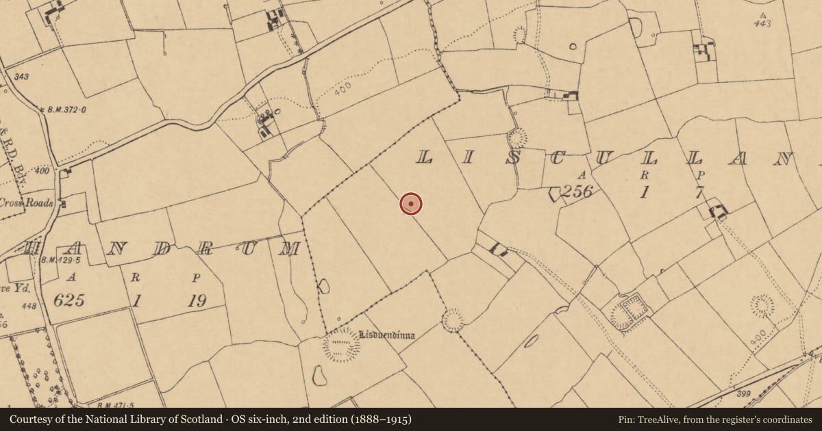 Ordnance Survey six-inch map, 2nd edition (1888–1915) covering the location of Ringfort - rath, Liscullane, County Cork, with a pin at the register's coordinates