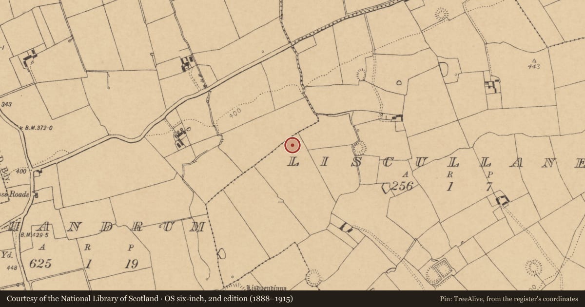 Ordnance Survey six-inch map, 2nd edition (1888–1915) covering the location of Ringfort - rath, Liscullane, County Cork, with a pin at the register's coordinates