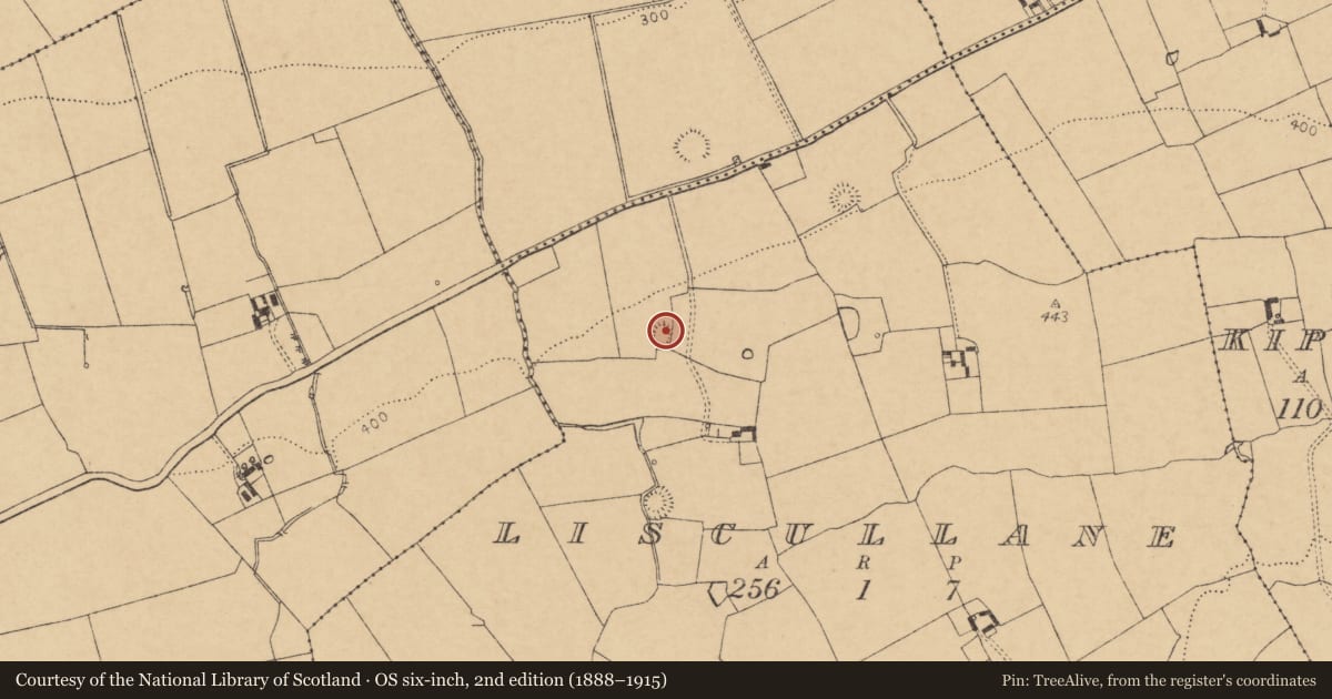 Ordnance Survey six-inch map, 2nd edition (1888–1915) covering the location of Enclosure, Liscullane, County Cork, with a pin at the register's coordinates