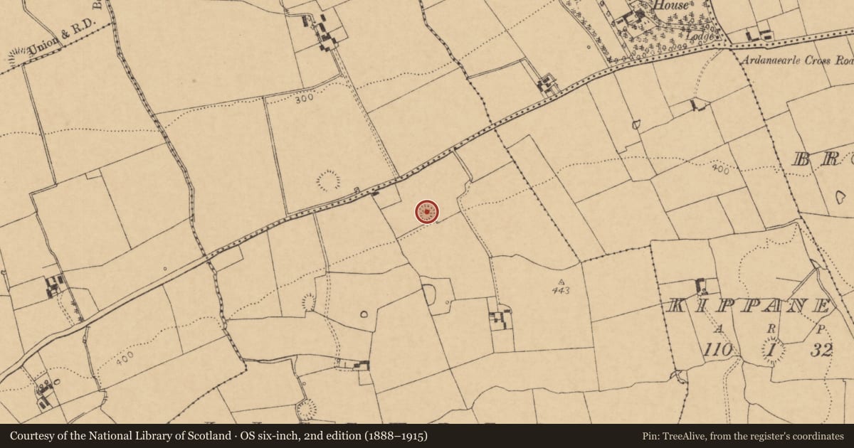 Ordnance Survey six-inch map, 2nd edition (1888–1915) covering the location of Ringfort - rath, Liscullane, County Cork, with a pin at the register's coordinates