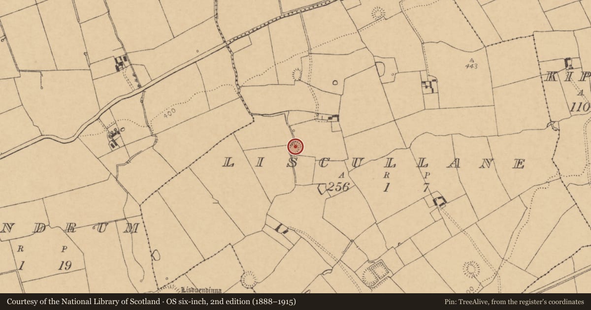 Ordnance Survey six-inch map, 2nd edition (1888–1915) covering the location of Ringfort - rath, Liscullane, County Cork, with a pin at the register's coordinates