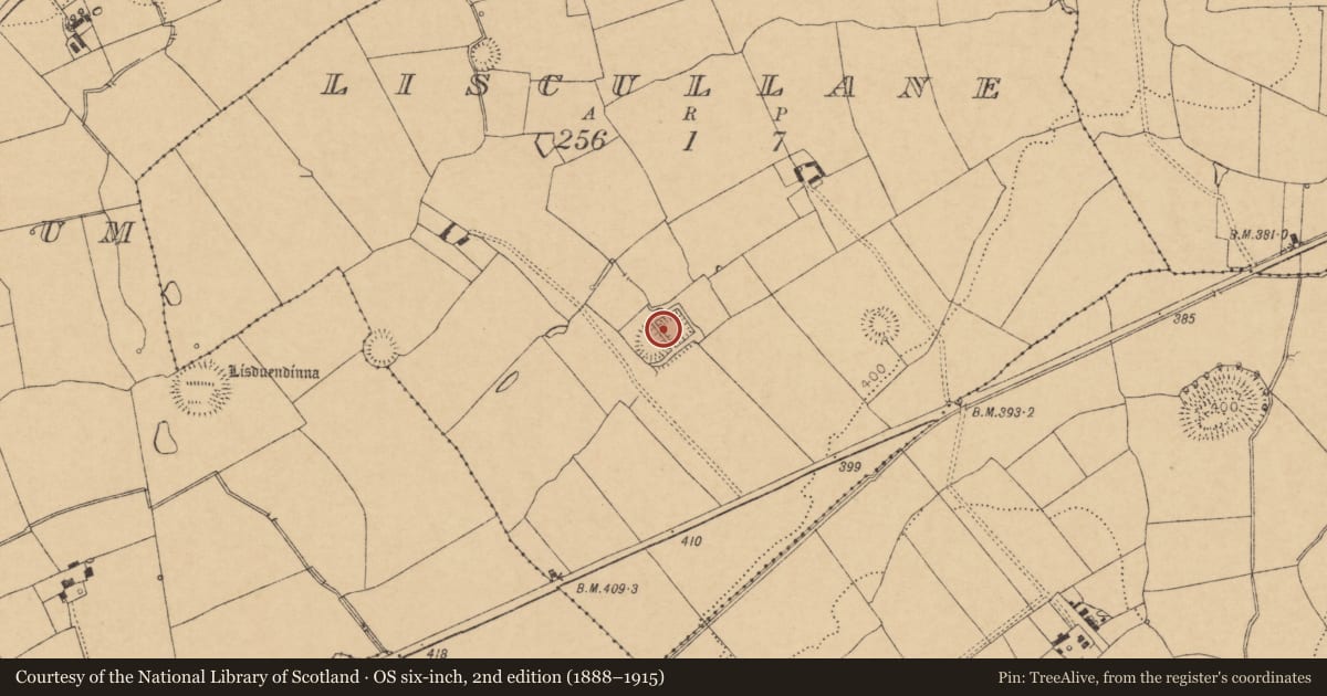 Ordnance Survey six-inch map, 2nd edition (1888–1915) covering the location of Moated site, Liscullane, County Cork, with a pin at the register's coordinates
