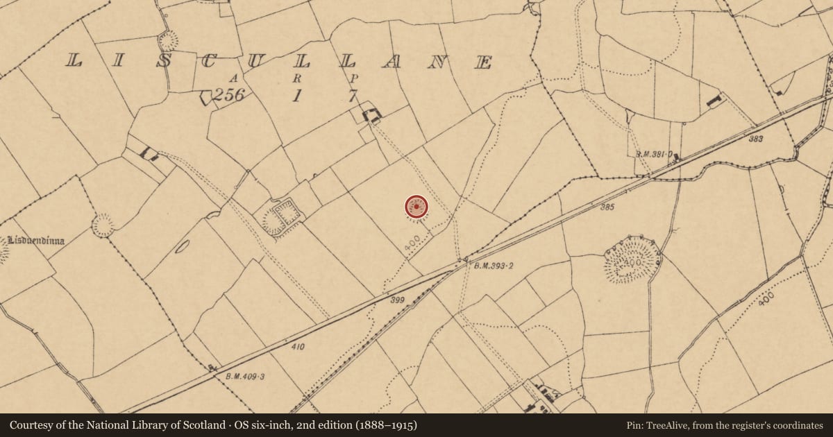 Ordnance Survey six-inch map, 2nd edition (1888–1915) covering the location of Ringfort - rath, Liscullane, County Cork, with a pin at the register's coordinates