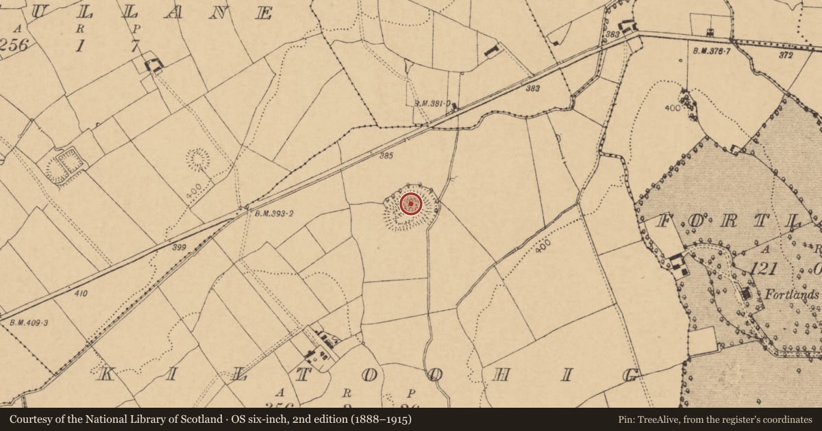Ordnance Survey six-inch map, 2nd edition (1888–1915) covering the location of Enclosure, Kiltoohig, County Cork, with a pin at the register's coordinates