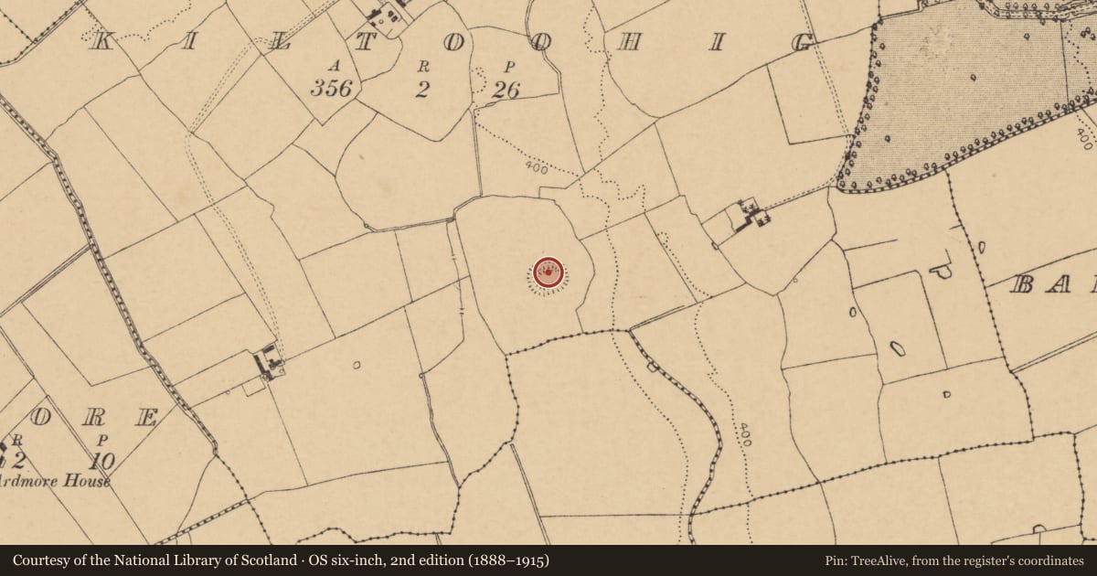 Ordnance Survey six-inch map, 2nd edition (1888–1915) covering the location of Moated site, Kiltoohig, County Cork, with a pin at the register's coordinates