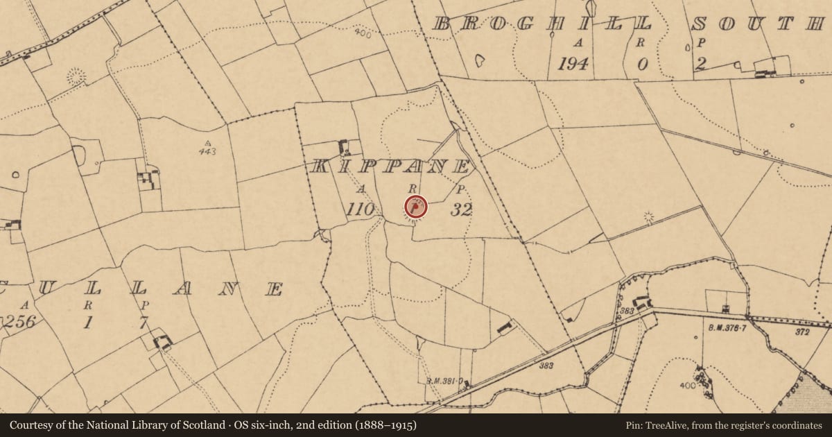 Ordnance Survey six-inch map, 2nd edition (1888–1915) covering the location of Ringfort - rath, Kippane, County Cork, with a pin at the register's coordinates