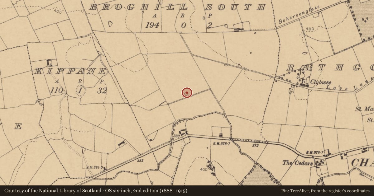 Ordnance Survey six-inch map, 2nd edition (1888–1915) covering the location of Quarry, Broghill South, County Cork, with a pin at the register's coordinates