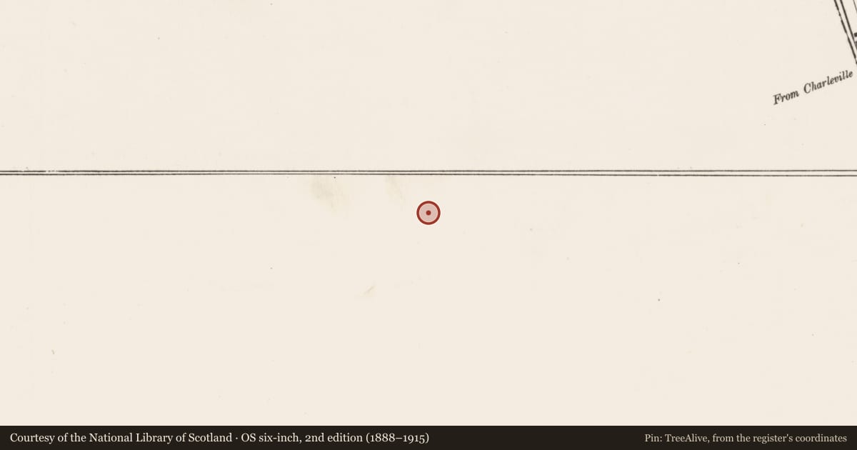 Ordnance Survey six-inch map, 2nd edition (1888–1915) covering the location of Mill - corn, Rathgoggan Middle, County Cork, with a pin at the register's coordinates