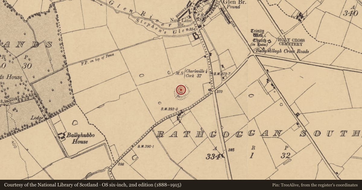 Ordnance Survey six-inch map, 2nd edition (1888–1915) covering the location of Ringfort - rath, Rathgoggan Middle, County Cork, with a pin at the register's coordinates