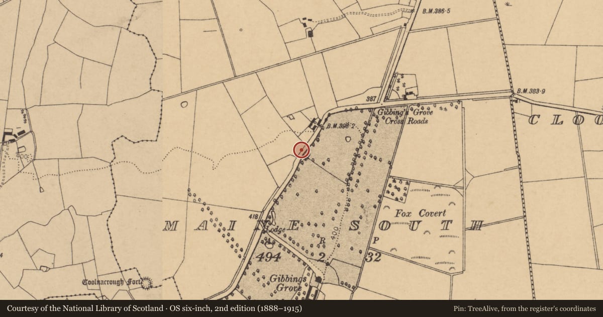 Ordnance Survey six-inch map, 2nd edition (1888–1915) covering the location of Enclosure, Maine South, County Cork, with a pin at the register's coordinates