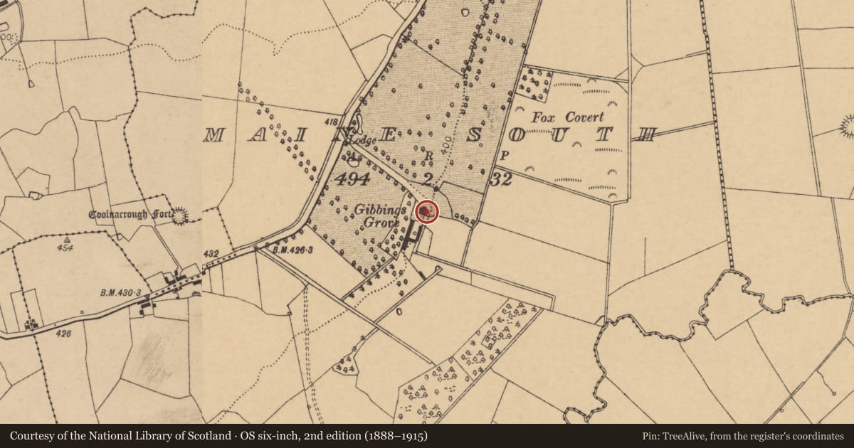 Ordnance Survey six-inch map, 2nd edition (1888–1915) covering the location of Country house, Maine South, County Cork, with a pin at the register's coordinates