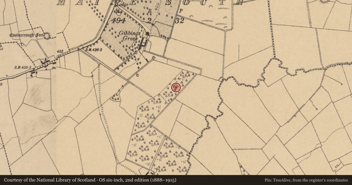Ordnance Survey six-inch map, 2nd edition (1888–1915) covering the location of Enclosure, Maine South, County Cork, with a pin at the register's coordinates