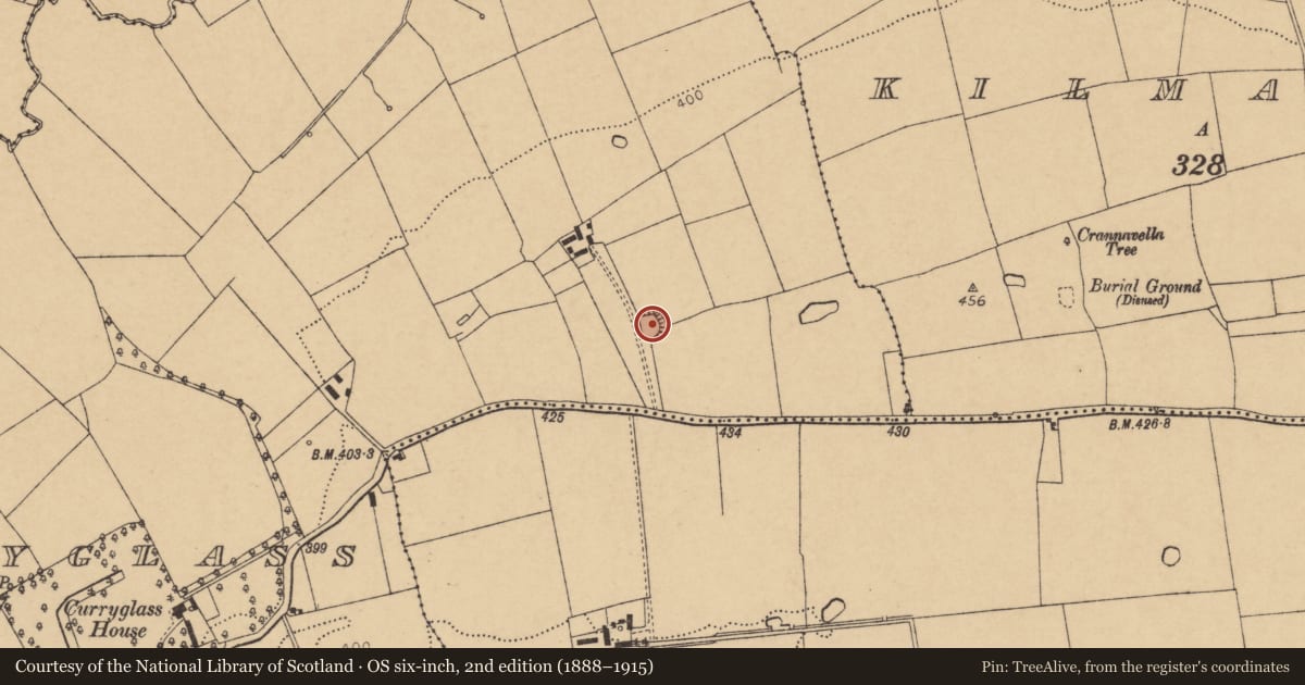Ordnance Survey six-inch map, 2nd edition (1888–1915) covering the location of Ringfort - rath, Curryglass, County Cork, with a pin at the register's coordinates