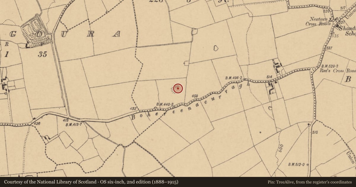 Ordnance Survey six-inch map, 2nd edition (1888–1915) covering the location of Ringfort - rath, Newtown South, County Cork, with a pin at the register's coordinates