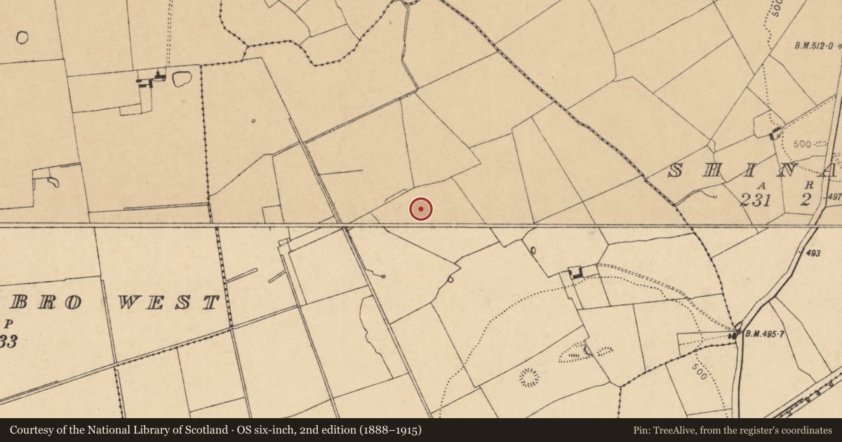 Ordnance Survey six-inch map, 2nd edition (1888–1915) covering the location of Standing stone, Curraghcloonabro East, County Cork, with a pin at the register's coordinates