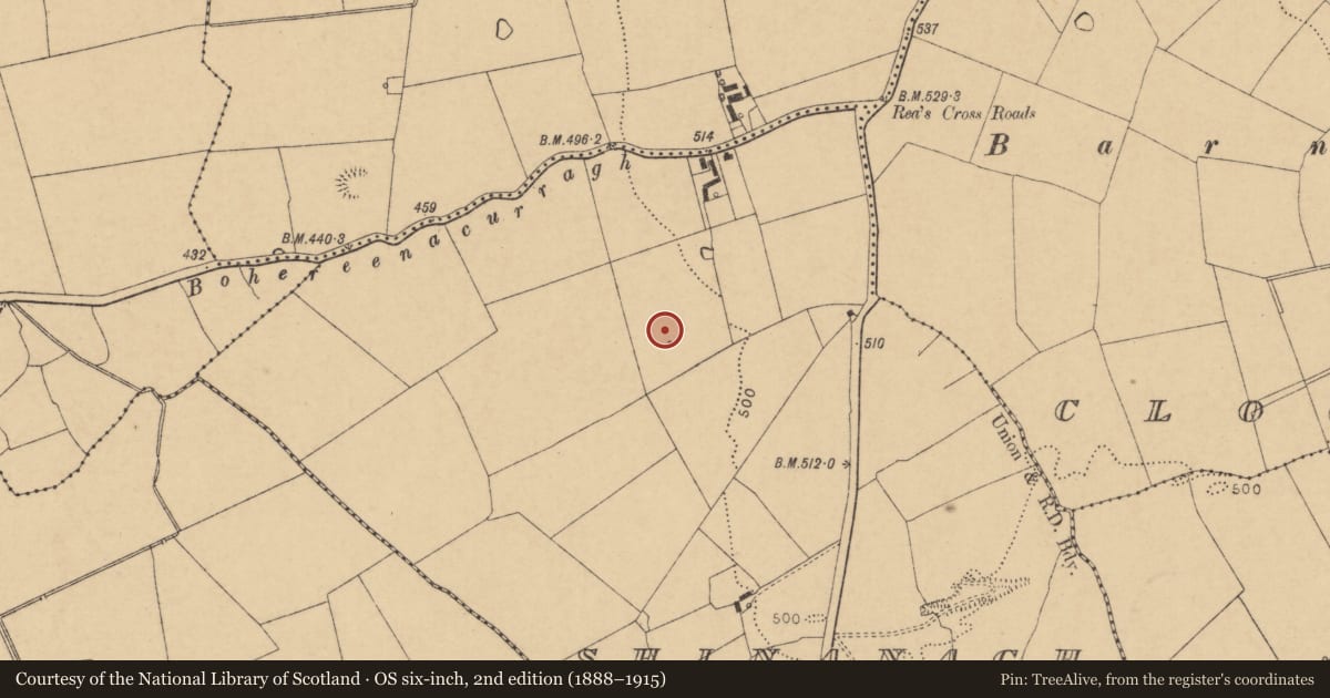Ordnance Survey six-inch map, 2nd edition (1888–1915) covering the location of Fulacht fia, Shinanagh, County Cork, with a pin at the register's coordinates