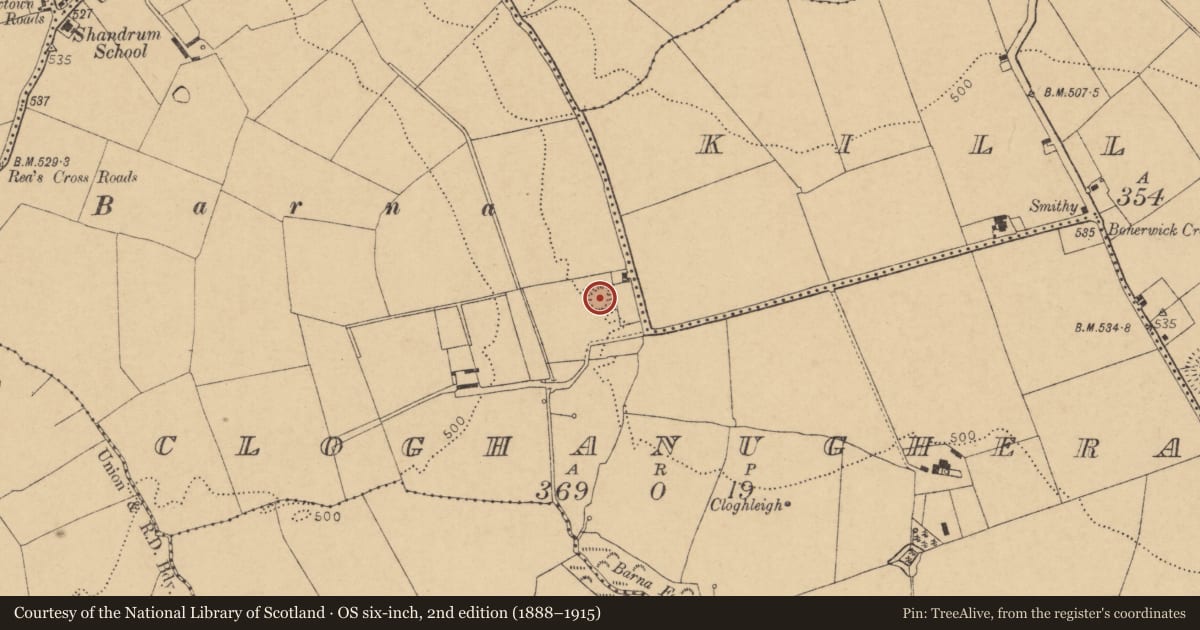 Ordnance Survey six-inch map, 2nd edition (1888–1915) covering the location of Moated site, Cloghanughera, County Cork, with a pin at the register's coordinates