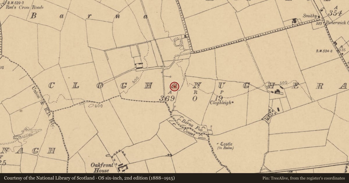 Ordnance Survey six-inch map, 2nd edition (1888–1915) covering the location of Enclosure, Cloghanughera, County Cork, with a pin at the register's coordinates