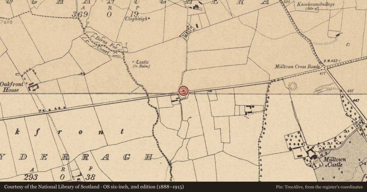 Ordnance Survey six-inch map, 2nd edition (1888–1915) covering the location of Ringfort - rath, Cloghanughera, County Cork, with a pin at the register's coordinates