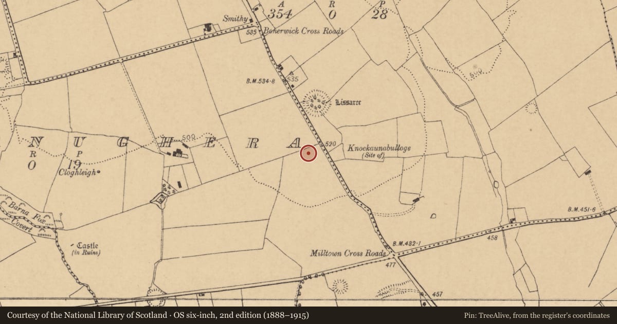 Ordnance Survey six-inch map, 2nd edition (1888–1915) covering the location of Barrow - ring-barrow, Cloghanughera, County Cork, with a pin at the register's coordinates
