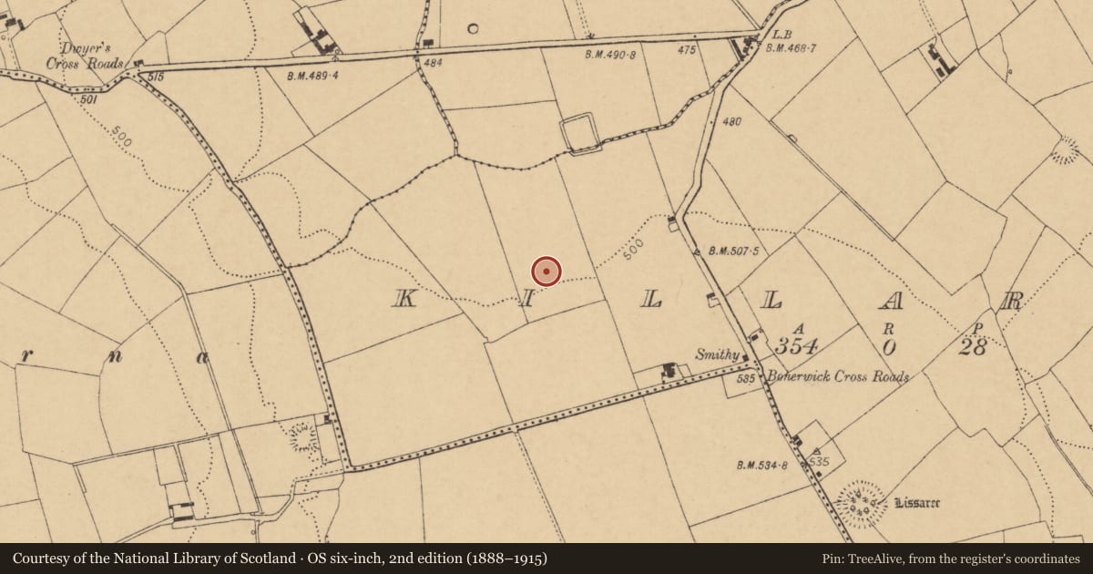 Ordnance Survey six-inch map, 2nd edition (1888–1915) covering the location of Fulacht fia, Killaree, County Cork, with a pin at the register's coordinates