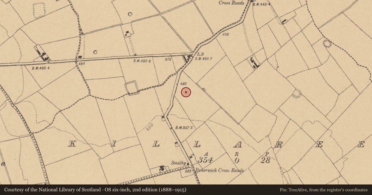 Ordnance Survey six-inch map, 2nd edition (1888–1915) covering the location of Fulacht fia, Killaree, County Cork, with a pin at the register's coordinates