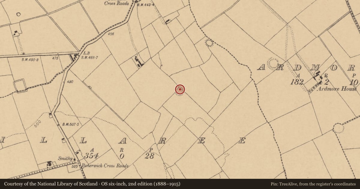 Ordnance Survey six-inch map, 2nd edition (1888–1915) covering the location of Ringfort - rath, Killaree, County Cork, with a pin at the register's coordinates