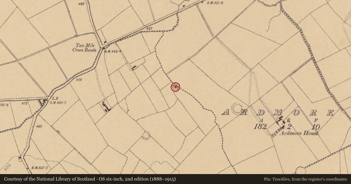Ordnance Survey six-inch map, 2nd edition (1888–1915) covering the location of Ringfort - rath, Killaree, County Cork, with a pin at the register's coordinates