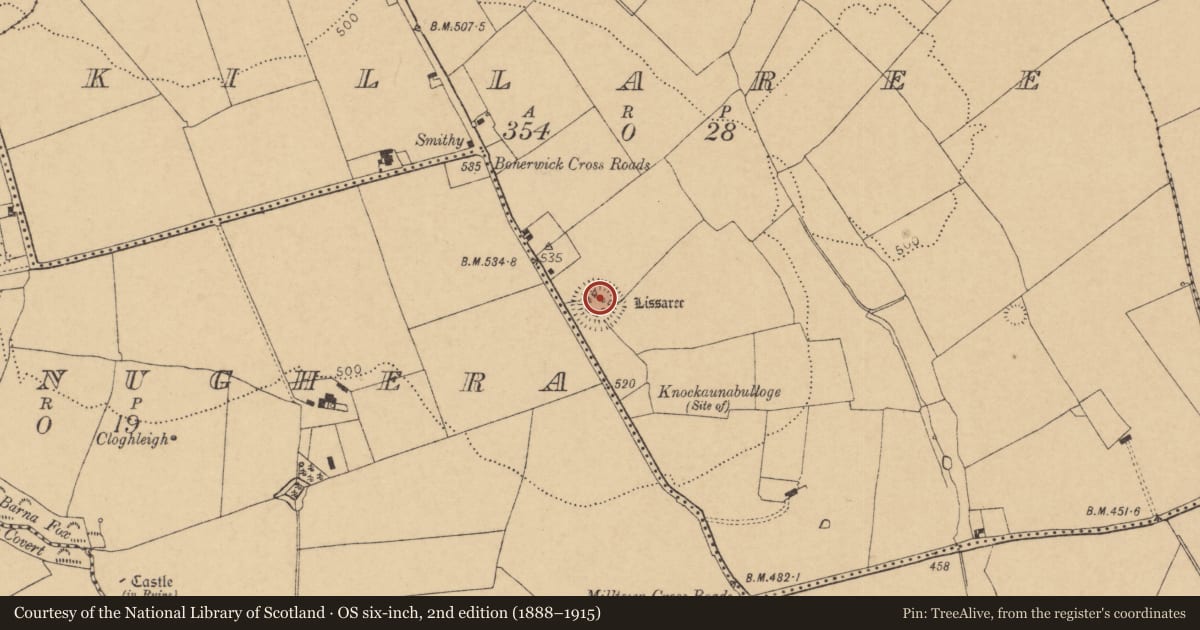 Ordnance Survey six-inch map, 2nd edition (1888–1915) covering the location of Ringfort - rath, Killaree, County Cork, with a pin at the register's coordinates