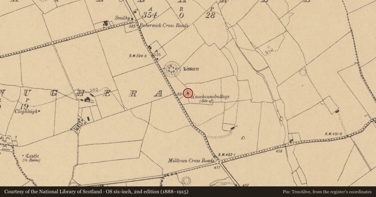 Ordnance Survey six-inch map, 2nd edition (1888–1915) covering the location of Enclosure, Killaree, County Cork, with a pin at the register's coordinates
