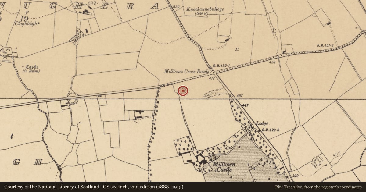 Ordnance Survey six-inch map, 2nd edition (1888–1915) covering the location of Ringfort - rath, Milltown, County Cork, with a pin at the register's coordinates