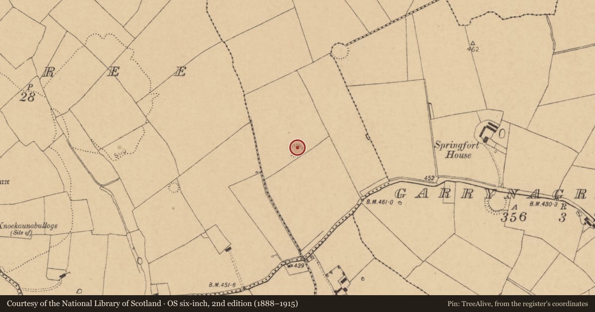 Ordnance Survey six-inch map, 2nd edition (1888–1915) covering the location of Ringfort - rath, Ardmore, County Cork, with a pin at the register's coordinates