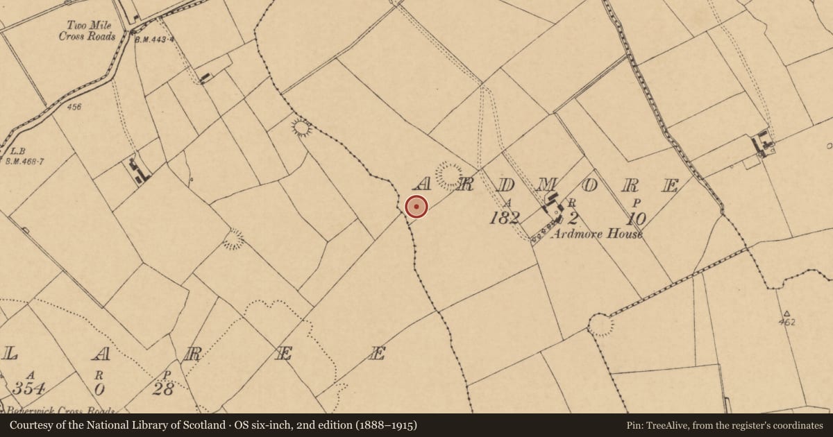 Ordnance Survey six-inch map, 2nd edition (1888–1915) covering the location of Fulacht fia, Ardmore, County Cork, with a pin at the register's coordinates