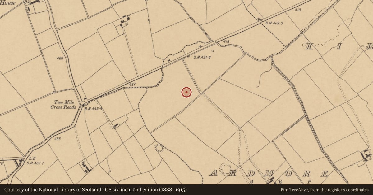 Ordnance Survey six-inch map, 2nd edition (1888–1915) covering the location of Ringfort - rath, Ardmore, County Cork, with a pin at the register's coordinates