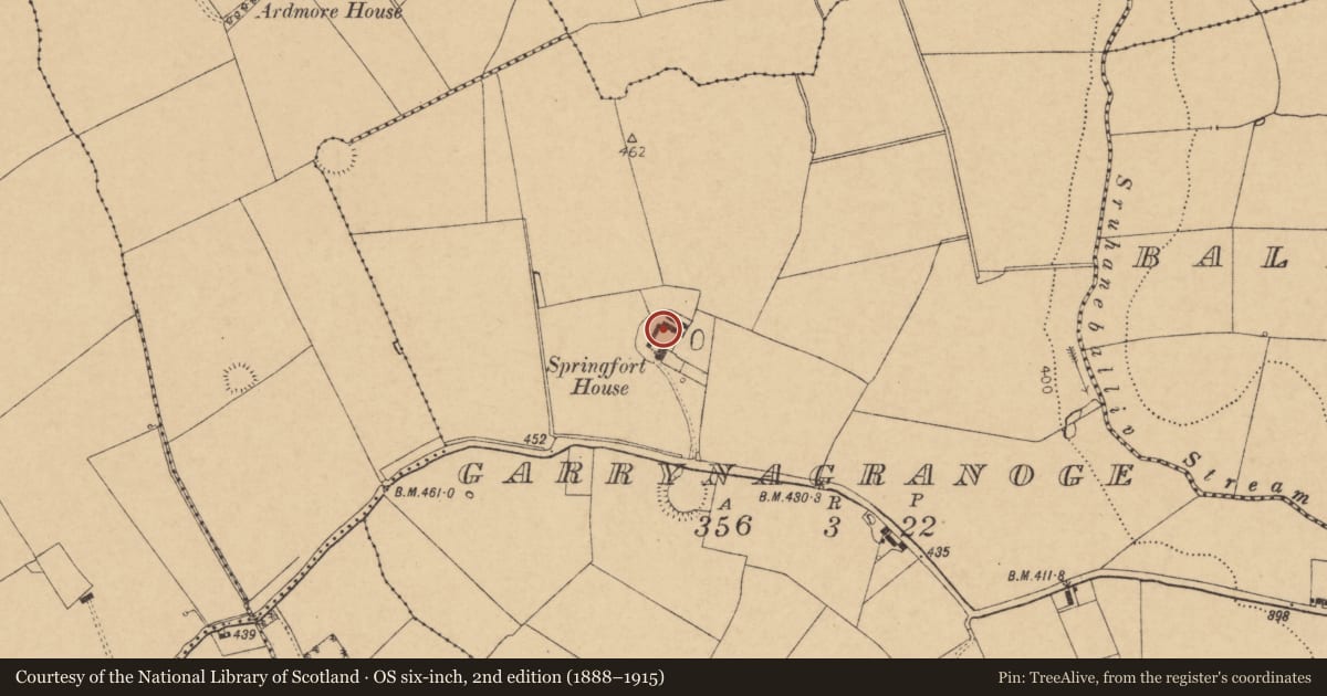 Ordnance Survey six-inch map, 2nd edition (1888–1915) covering the location of Ringfort - rath, Garrynagranoge, County Cork, with a pin at the register's coordinates