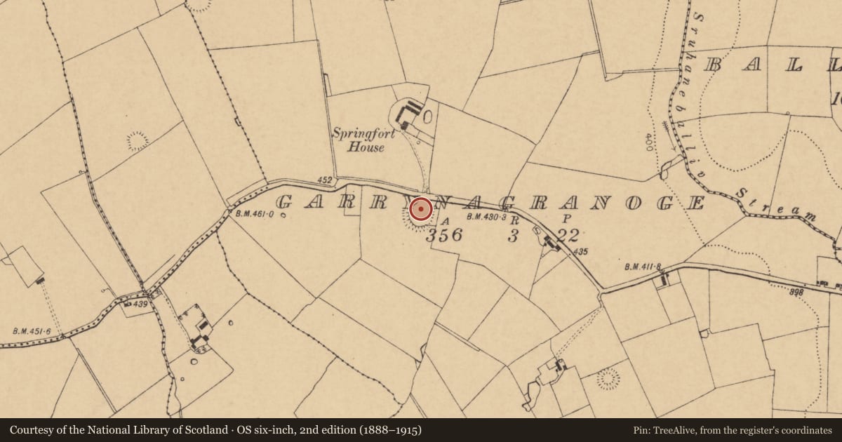 Ordnance Survey six-inch map, 2nd edition (1888–1915) covering the location of Ringfort - rath, Garrynagranoge, County Cork, with a pin at the register's coordinates