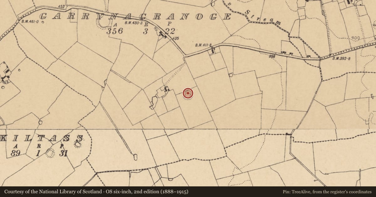 Ordnance Survey six-inch map, 2nd edition (1888–1915) covering the location of Ringfort - rath, Garrynagranoge, County Cork, with a pin at the register's coordinates