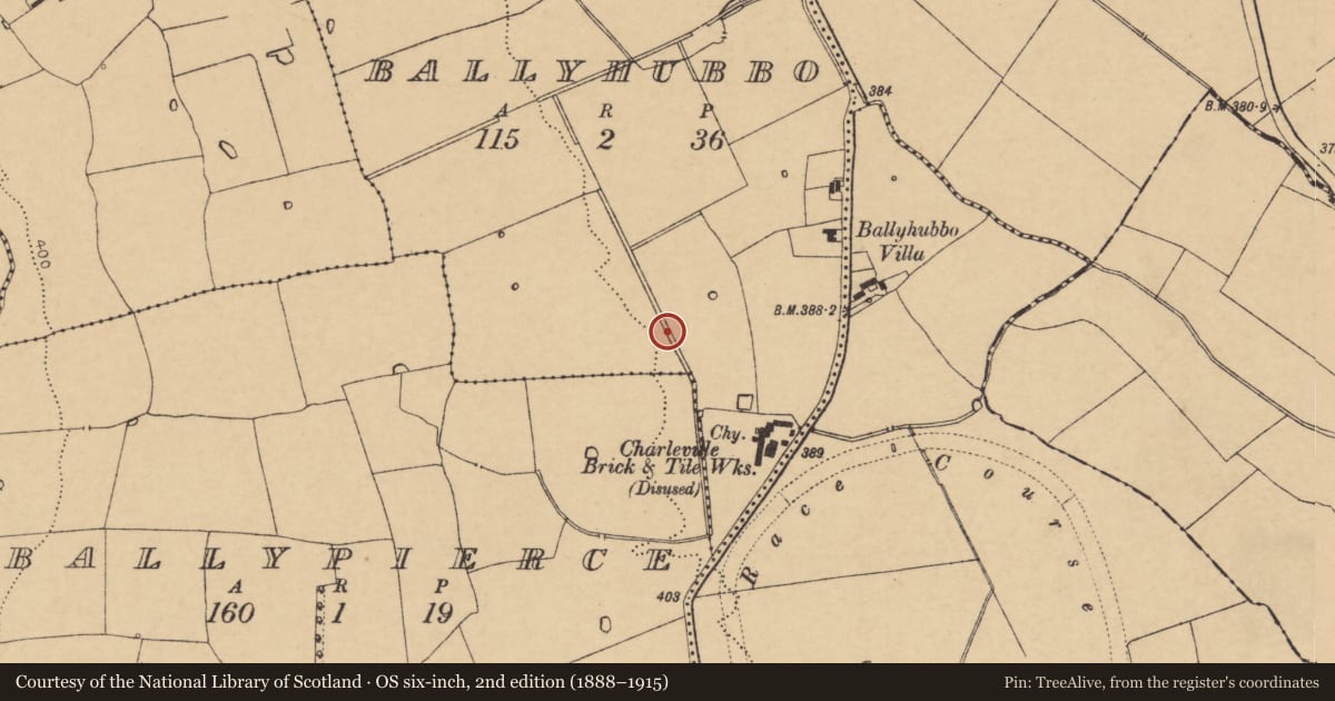 Ordnance Survey six-inch map, 2nd edition (1888–1915) covering the location of Ringfort - rath, Ballyhubbo, County Cork, with a pin at the register's coordinates