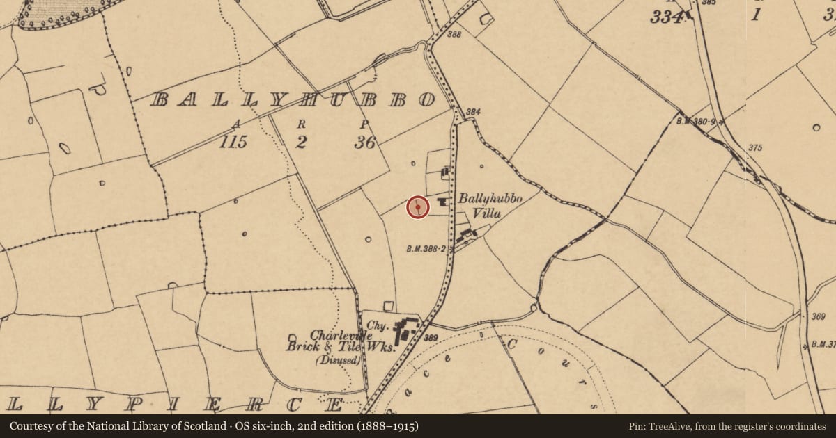 Ordnance Survey six-inch map, 2nd edition (1888–1915) covering the location of Fulacht fia, Ballyhubbo, County Cork, with a pin at the register's coordinates