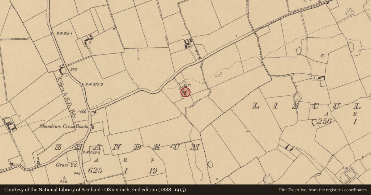 Ordnance Survey six-inch map, 2nd edition (1888–1915) covering the location of House - vernacular house, Shandrum, County Cork, with a pin at the register's coordinates