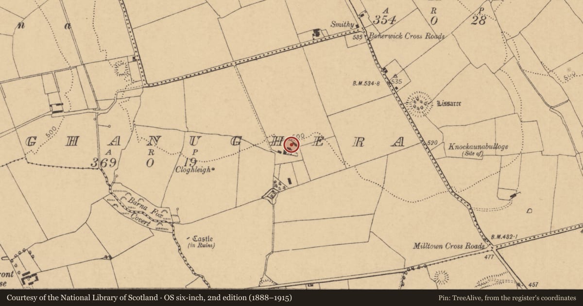 Ordnance Survey six-inch map, 2nd edition (1888–1915) covering the location of House - vernacular house, Cloghanughera, County Cork, with a pin at the register's coordinates