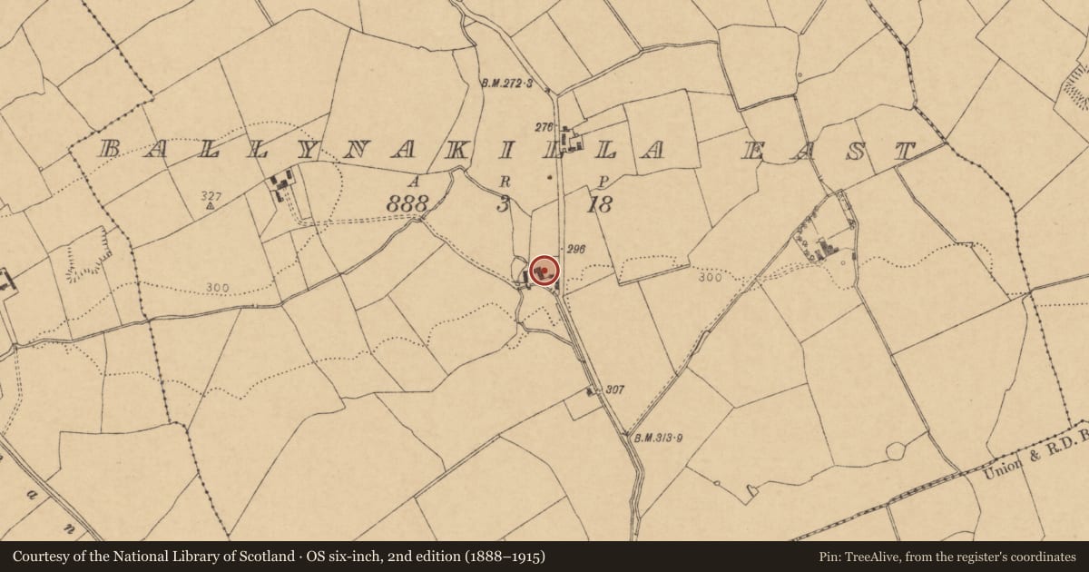 Ordnance Survey six-inch map, 2nd edition (1888–1915) covering the location of House - vernacular house, Ballynakilla East, County Cork, with a pin at the register's coordinates