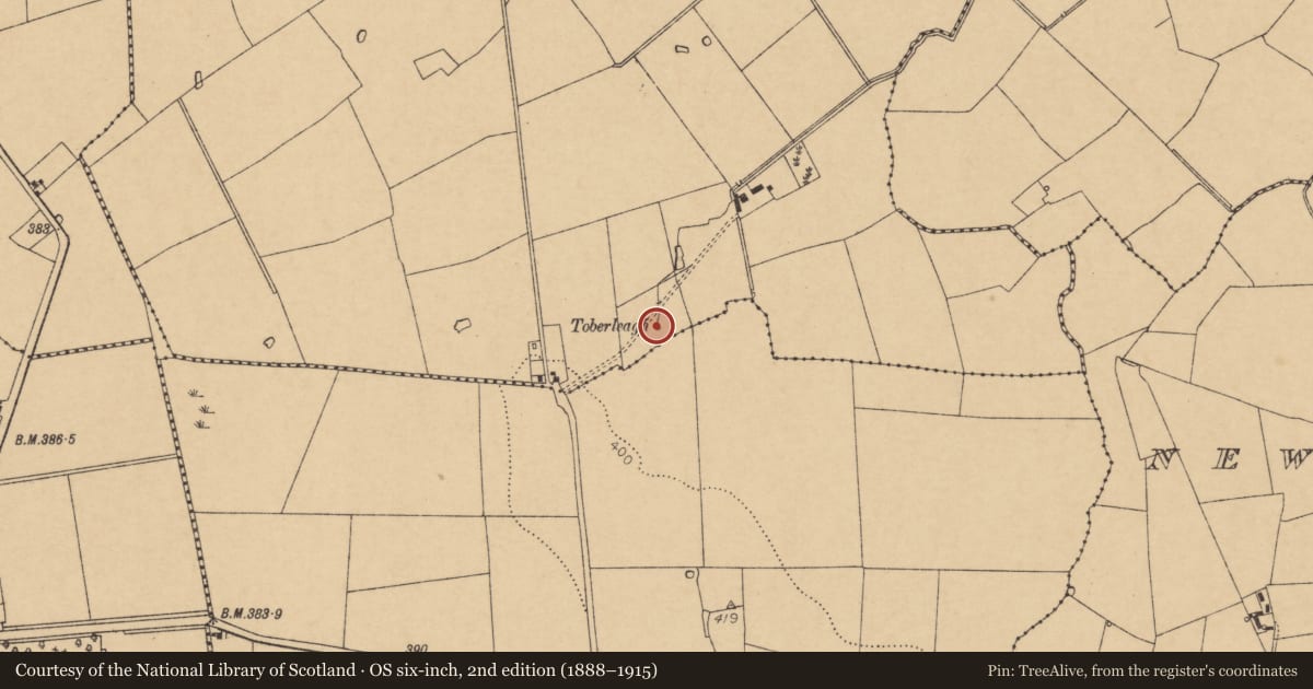 Ordnance Survey six-inch map, 2nd edition (1888–1915) covering the location of Ritual site - holy well, Cloonleagh North, County Cork, with a pin at the register's coordinates