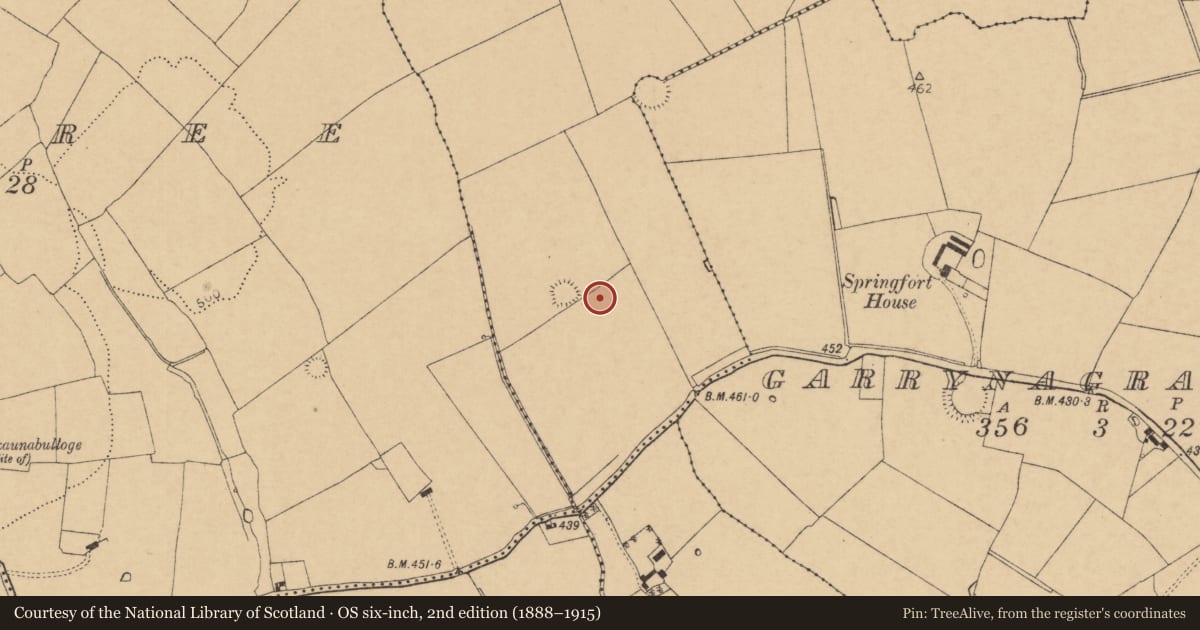 Ordnance Survey six-inch map, 2nd edition (1888–1915) covering the location of Enclosure, Ardmore, County Cork, with a pin at the register's coordinates