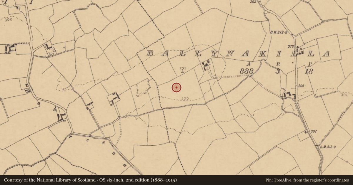 Ordnance Survey six-inch map, 2nd edition (1888–1915) covering the location of Cist, Ballynakilla East, County Cork, with a pin at the register's coordinates