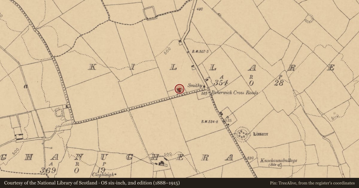 Ordnance Survey six-inch map, 2nd edition (1888–1915) covering the location of School, Killaree, County Cork, with a pin at the register's coordinates